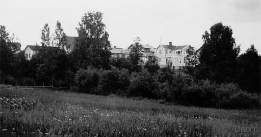 19xx Råneå Färghandel yyyy.jpg - Fastigheten Rånbyn 10 syns till höger bakom "grönskan" inköptes 1930 och inrymde färghandel och frisersalong medan fotoateljén låg strax till vänster, bakom björken Fridhem och till vänster Selma Näsbergs fastighet.